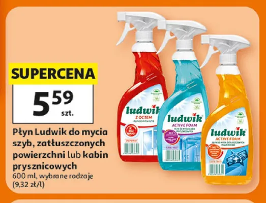 Płyn do mycia kabin prysznicowych Ludwik promocja w Auchan