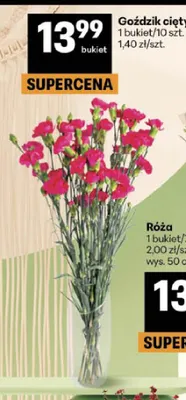 Goździk cięty promocja w Delikatesy Centrum