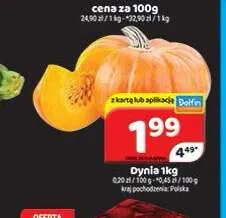 Dynia promocja w Delfin