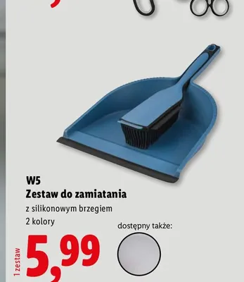 Zestaw do zamiatania W5 promocja w Lidl