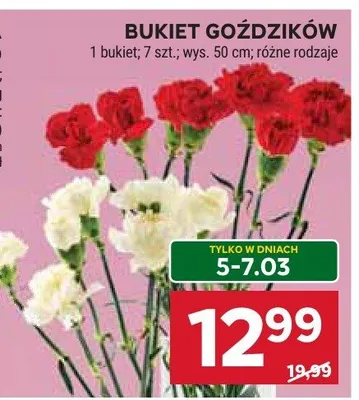 Bukiet goździków promocja w Stokrotka
