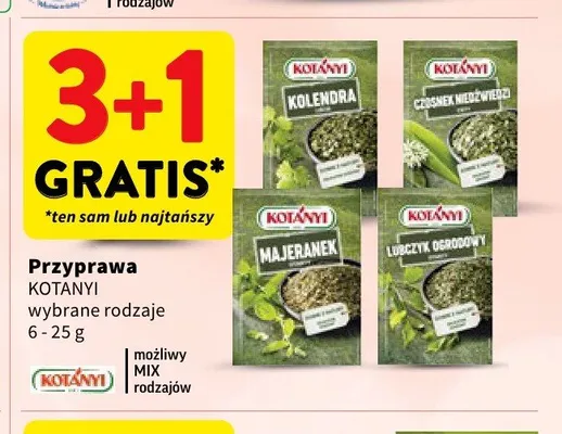 Przyprawa Lubczyk ogrodowy Kotányi promocja w Intermarche