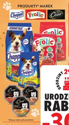 Produkty marek Chappi Frolic Cesar promocja w Intermarche
