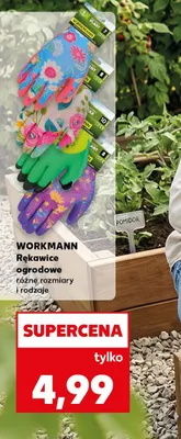 Rękawice ogrodowe różne rozmiary i rodzaje promocja w Kaufland
