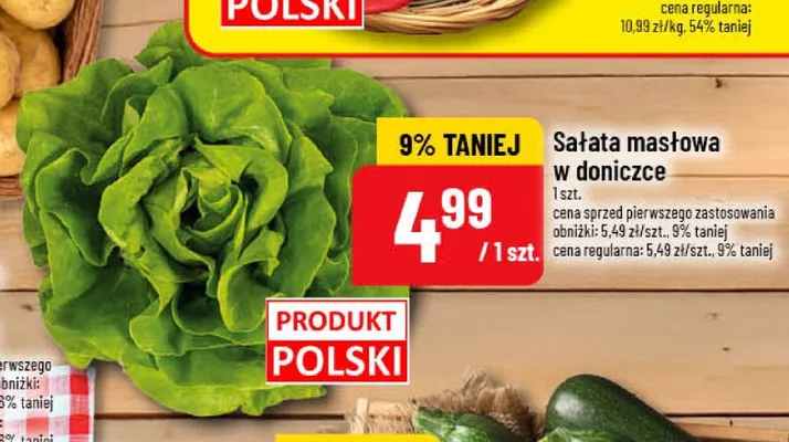Sałata masłowa w doniczce polska promocja w POLOmarket