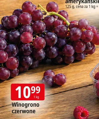 Winogrono czerwone promocja w Leclerc