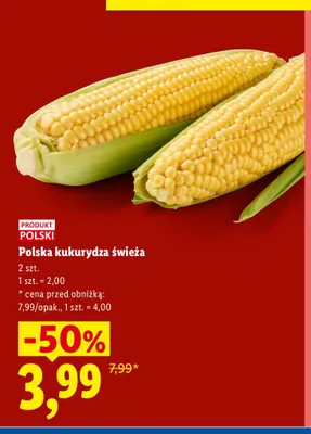 Kukurydza świeża polska Lidl promocja w Lidl