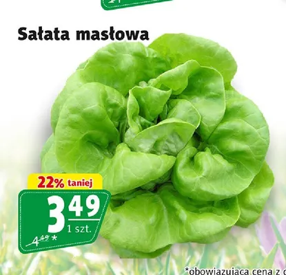 Sałata masłowa promocja w Prim Market