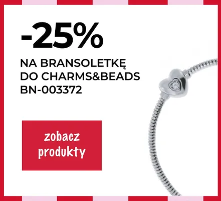 Bransoletka do Charms & Beads Briju BN-003372 promocja w Briju