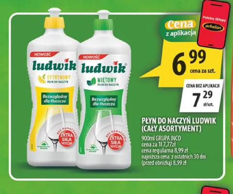 Płyn do naczyń Ludwik miętowy promocja w Arhelan