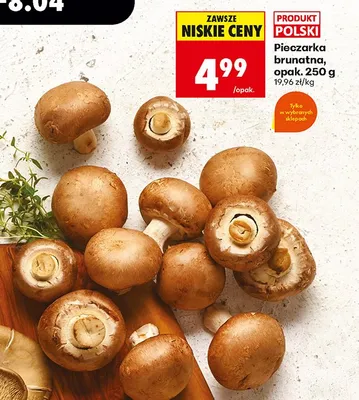 Pieczarka brunatna promocja w Biedronka