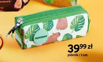 Piórnik Paperdot Cappy Classes zielony promocja w Empik