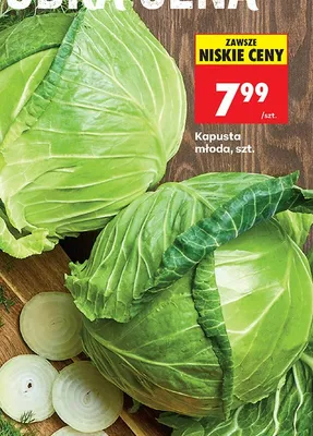 Kapusta młoda promocja w Biedronka