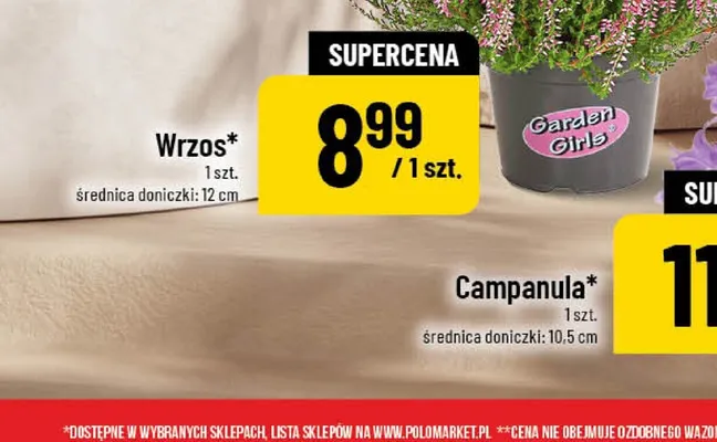 Wrzos Garden Girls promocja w POLOmarket