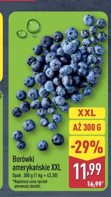 Borówki amerykańskie XXL promocja w Aldi