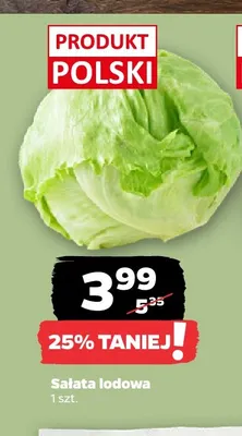 Sałata lodowa promocja w Netto