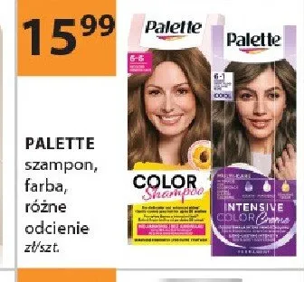 Farba PALETTE promocja w Drogerie Laboo