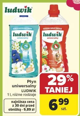 Płyn uniwersalny różne rodzaje promocja w Carrefour Market