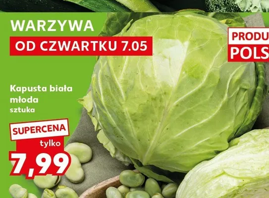 Kapusta biała młoda promocja w Kaufland