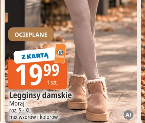 Legginsy damskie ocieplane Moraj promocja w Leclerc