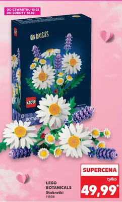 Botanicals Stokrotki 11508 promocja w Kaufland