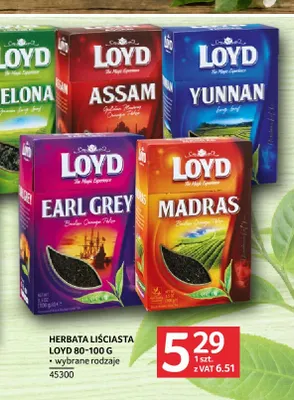 Herbata liściasta Loyd promocja w Selgros