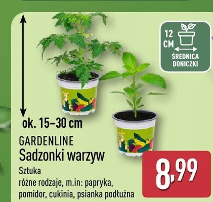 Sadzonki warzyw papryka GARDENLINE promocja w Aldi