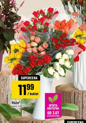 Róże promocja w POLOmarket