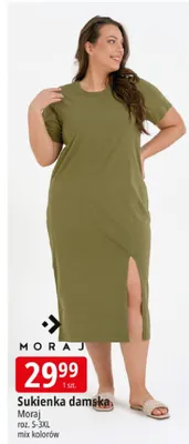 Sukienka damska Moraj roz. S-3XL promocja w Leclerc