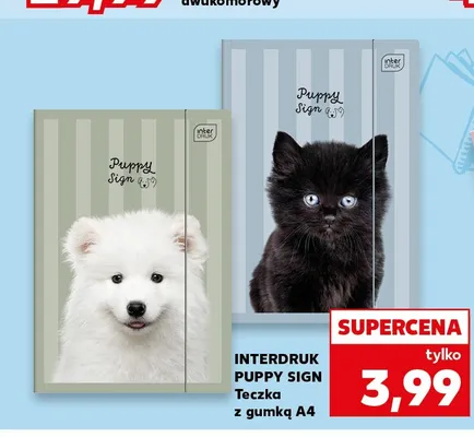 Teczka z gumką A4 Interdruk Puppy Sign promocja w Kaufland