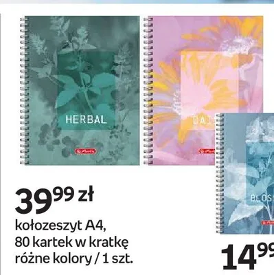 Kołozeszyt Herlitz A4 80 kartek w kratkę promocja w Empik