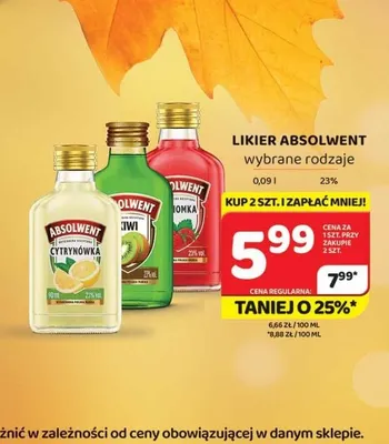 Likier Absolwent kiwi promocja w Delfin