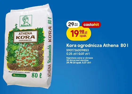 Kora ogrodnicza Athena promocja w Castorama