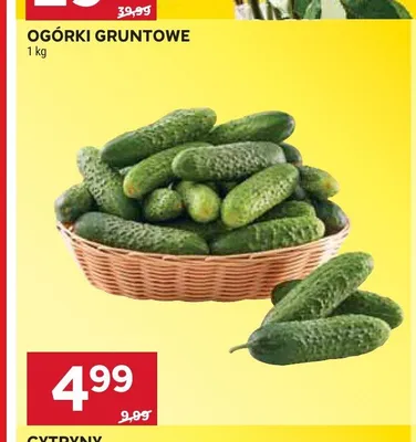 Ogórki gruntowe promocja w Stokrotka