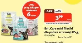 Mini fileciki dla psów i szczeniąt promocja w KAKADU