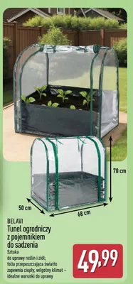 Tunel ogrodniczy z pojemnikiem do sadzenia promocja w Aldi