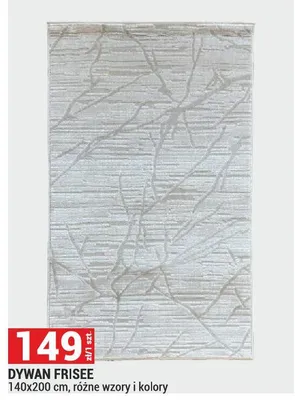 DYWAN FRISEE 140x200 cm, różne wzory i kolory promocja w Merkury Market