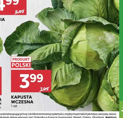 Kapusta wczesna promocja w Stokrotka