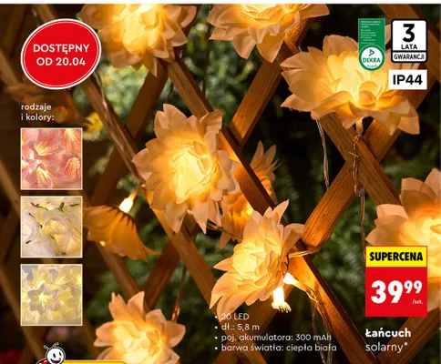 Łańcuch solarny promocja w Biedronka