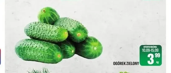 Ogórki zielone promocja w Tomi Markt