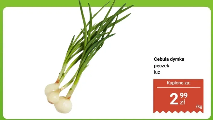 Cebula dymka pęczek luz promocja w Biedronka