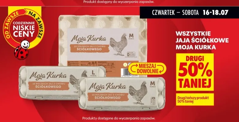 Jaja ściółkowe Moja Kurka klasa M 20 sztuk promocja w Biedronka