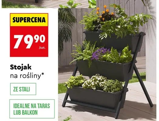 Stojak na rośliny promocja w Biedronka