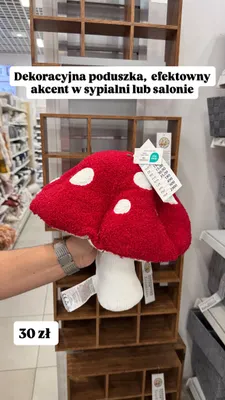 Poduszka dekoracyjna Muchomor promocja w Pepco