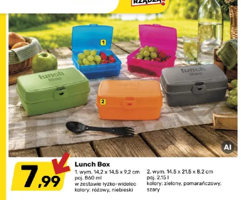 Lunch Box 860 ml promocja w Bricomarche