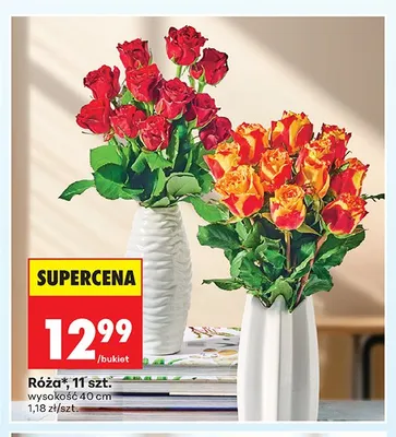 Róża promocja w Biedronka