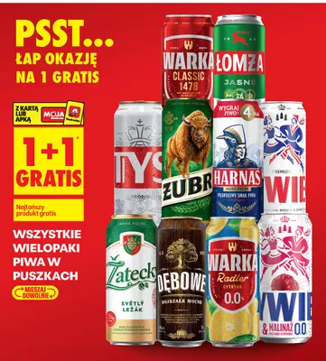 Piwo w puszce wielopak - wszystkie rodzaje promocja w Biedronka