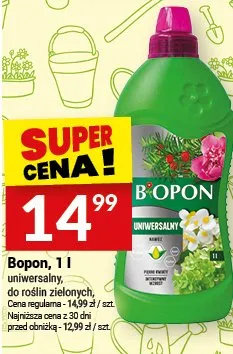 Uniwersalny nawóz do roślin zielonych promocja w Twój Market