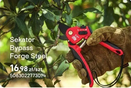 Sekator Bypass promocja w Castorama