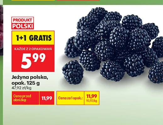 Jeżyna polska promocja w Biedronka